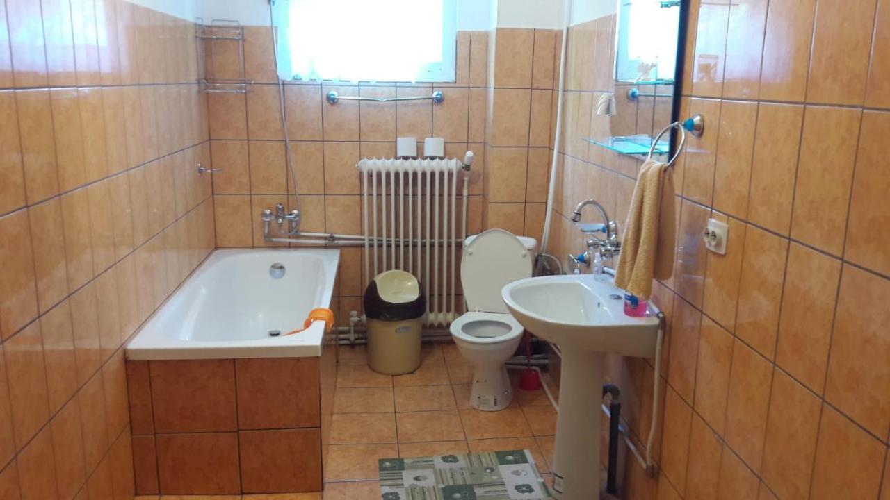 Family&Friends Apartment Ceahlau Ngoại thất bức ảnh